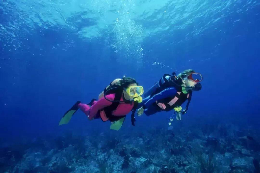 寺为什么叫寺,庙为什么叫庙,寺和庙有何区别?别再弄混了