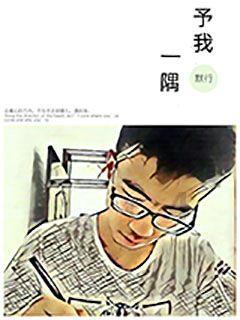 迷你拉力赛车